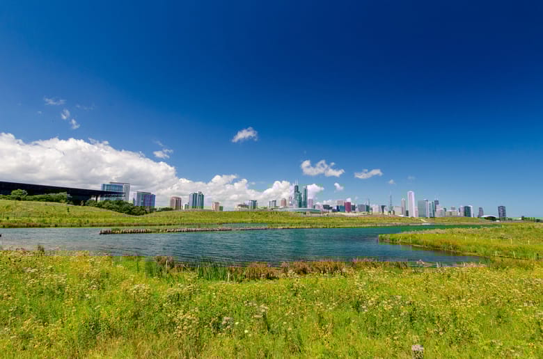 View of the city from Northerly Island