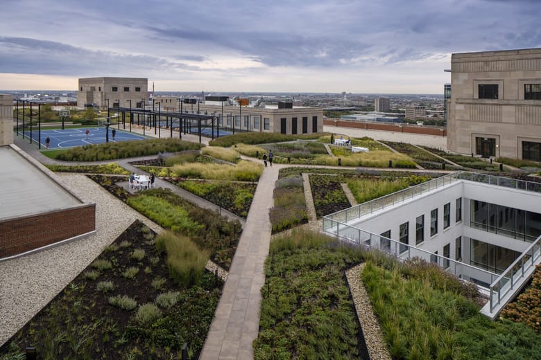 Image of a rooftop green space with paved sidewalks